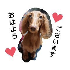 cherry_20200513150502