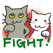 Kissa and Harmaa, cats for conversation Kissa and Harmaa, cats for conversation