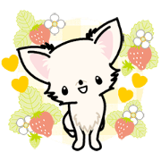 Kawaii Chihuahua 3 (Thai) Kawaii Chihuahua 3 (Thai)