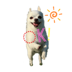 miho_2020051315202222