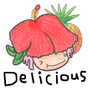 South of the island of hibiscus South of the island of hibiscus