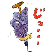 the funny fruit and vegetable shop