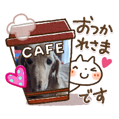 suzu_20200513171003