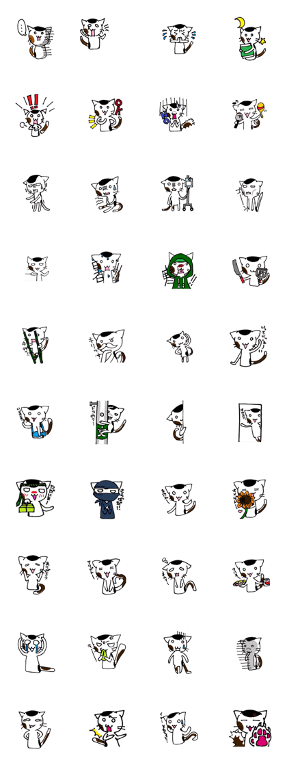 Tortoiseshell cat MIKE