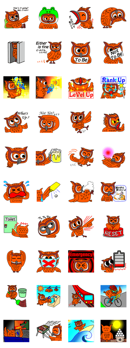 JIN-JIN Owl Life (3rd)