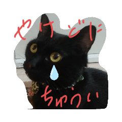 Mayuyu_20200513175738