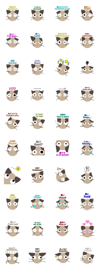 Scottish Fold "Millet" Scottish Fold "Millet"