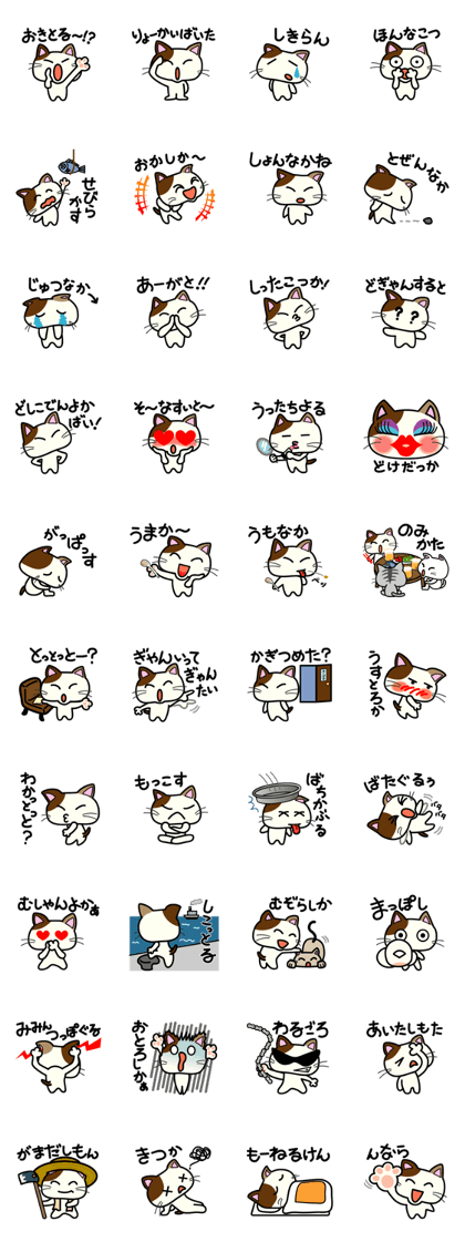 Miytan,Kumamoto valve of a calico cat 2