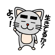 Cute cat has a sharp tongue. Cute cat has a sharp tongue.