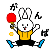 table tennis of white rabbit