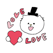 Everyday gentleman cat.