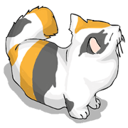 Tortoiseshell and white cat French ver Tortoiseshell and white cat French ver