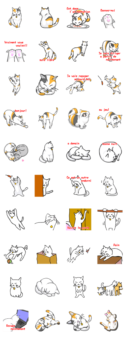 Tortoiseshell and white cat French ver Tortoiseshell and white cat French ver