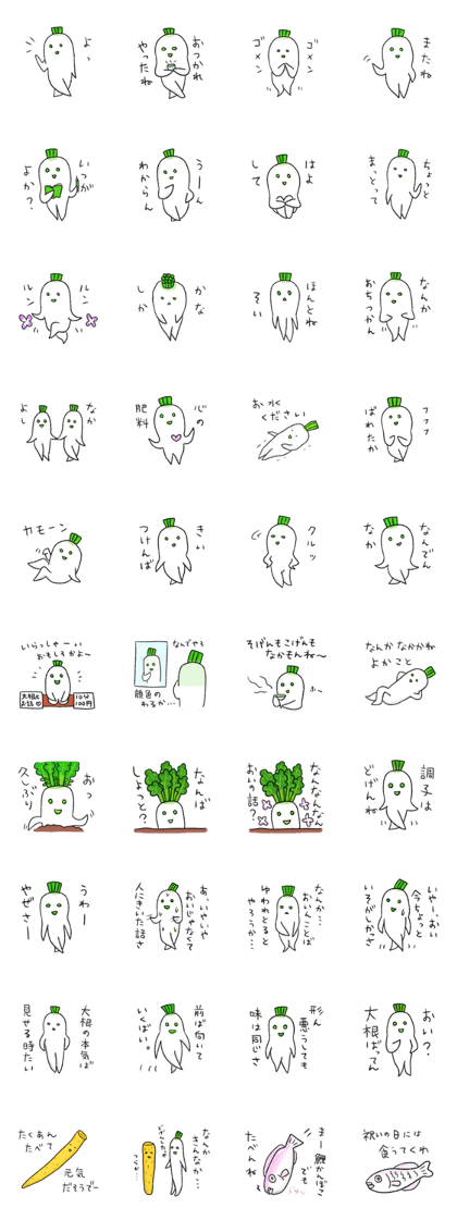 Japanese white radish 2