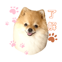 動物 Lineクリエイターズスタンプまとめ Stamplist Part 動物 Lineクリエイターズスタンプまとめ Stamplist Part