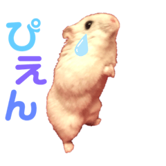 MUGIGOMACHAN