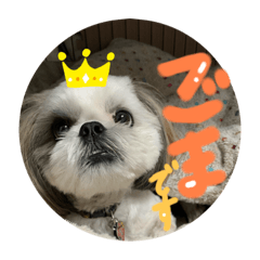 Hey Its Me GOMACHAN POO