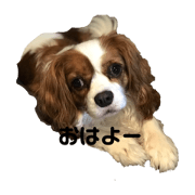yoshico_20200513195336