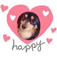 arisa_20200513153805