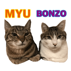 My cat's stamp(MYU&BONZO) ver.2