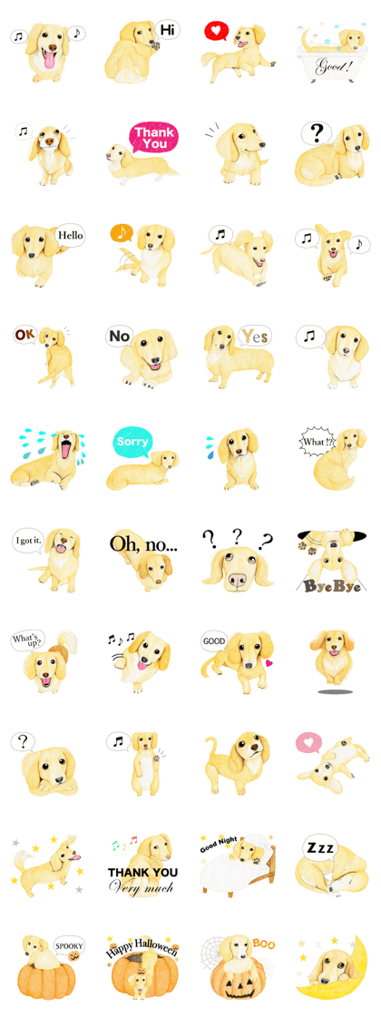 Miniature Dachshund sticker (English)