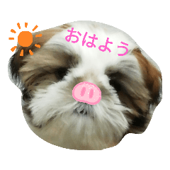 PUKU_20200513210037