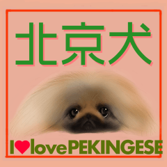 We Love Pekingese!! (Chinese Version)