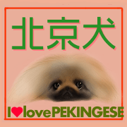 We Love Pekingese!! (Chinese Version)