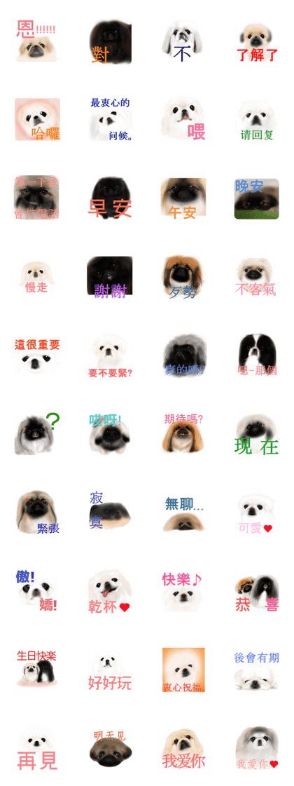 We Love Pekingese!! (Chinese Version)