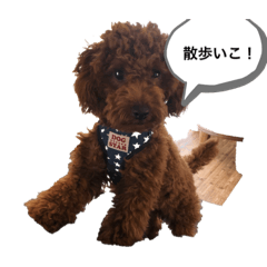 taiga.0928