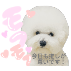 mochi_kawaii2020.05.13