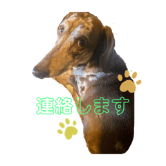 ayumi_20200513160712