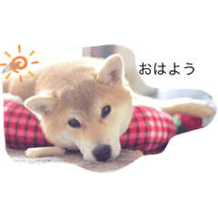suzu_20200513170335