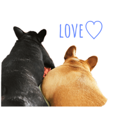 kozrcdgmkgda2974390ghduzjgamtp