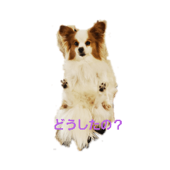 yun_20200513142453