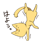 Animals waiting for a reply Animals waiting for a reply