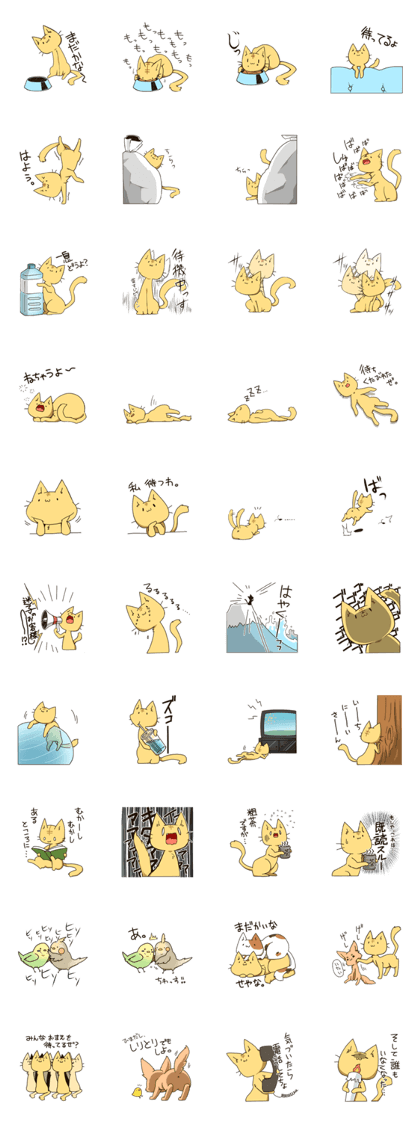 Animals waiting for a reply Animals waiting for a reply