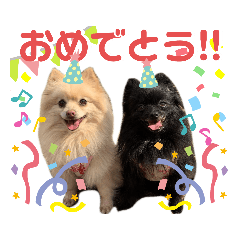 chiro_20200513210327