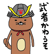 musya kawauso musya kawauso