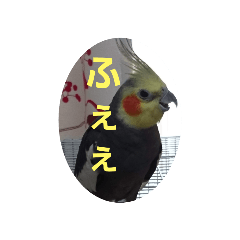 yuyumaru_20200513134210