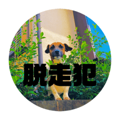 aoi_20200427130825