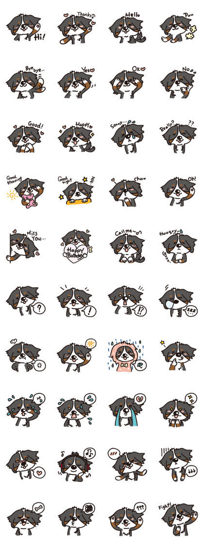 Bernese Umi Sticker Bernese Umi Sticker