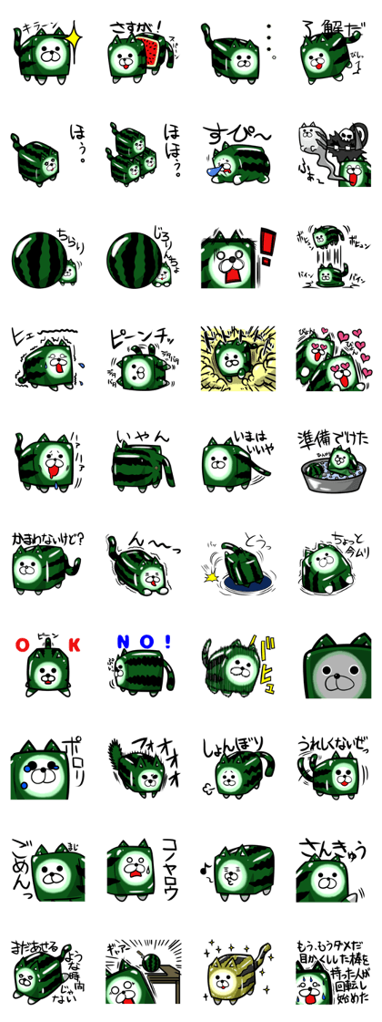 Square watermelon cat