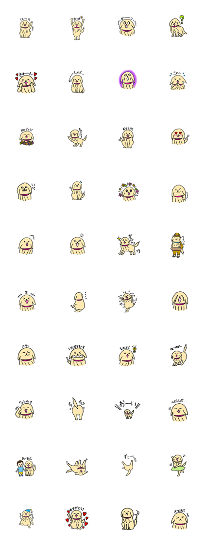 Golden Retriever's diary