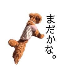 ginji546946781764394675494543