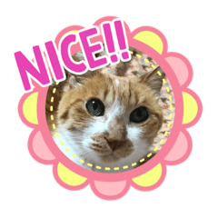 moon_202005132315089