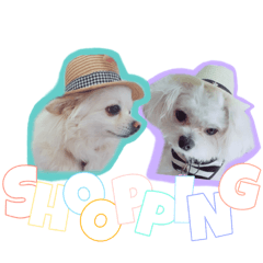 RIN HARU_20200513214200