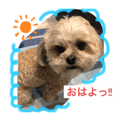 NATSUMI_20200514000828