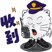 Maomao cat 2