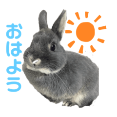 arisa_20200513223247